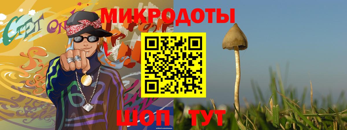 Галлюциногенные грибы Psilocybe Нефтекамск